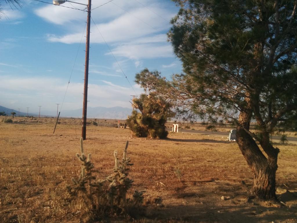 Rustic Oasis Motel โอลานชา ภายนอก รูปภาพ